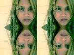 XTCs