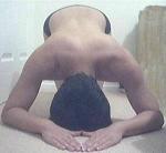 young_submission