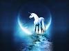 X_MOON_PIE_X