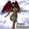 Angel__Pandor