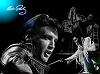TigerMan67