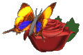 BineDE
