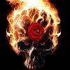 BlistfulRose