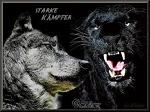 wolfpanther