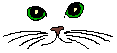 kitty__lover