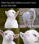Greuxifer