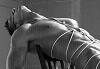 Erlend_norse_