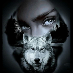 WildRose_DPS