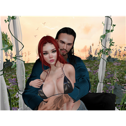 Holly_VLDF_SNB