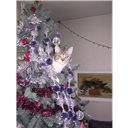 Kitty_Spreadw