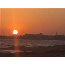Summer_44SF