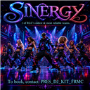 SINERGY_DT