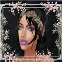 Shellbee_Rain