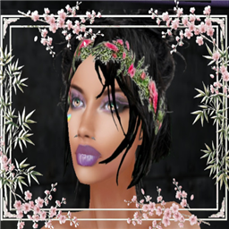 Shellbee_Rainbow