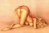 Vix_CoN