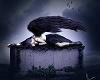 shayra_ARCANO