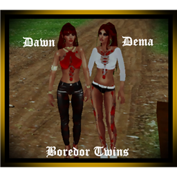 Dawn_BOR_LLMC