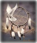 Dove_65