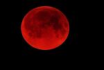 Nocturne_310
